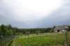 dsc_0133_small.jpg