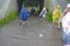 dsc_0138_small.jpg