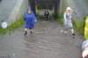 dsc_0139_small.jpg