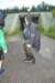 dsc_0141_small.jpg