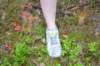 dsc_0153_small.jpg