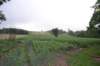 dsc_0194_small.jpg