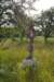 dsc_0213_small.jpg