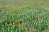 dsc_0227_small.jpg