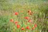 dsc_0228_small.jpg