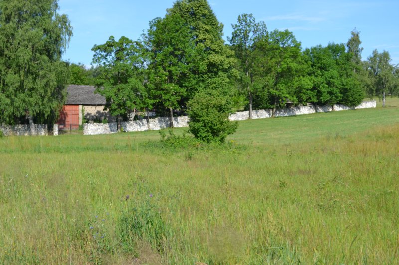 dsc_0229.jpg