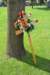 dsc_0237_small.jpg