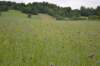 dsc_0278_small.jpg