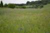dsc_0279_small.jpg