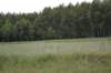 dsc_0280_small.jpg