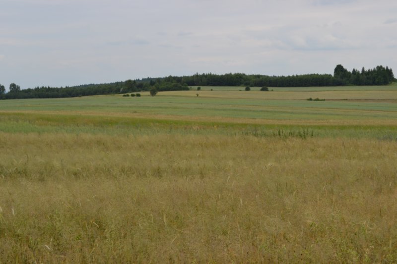 dsc_0284.jpg