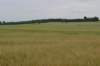 dsc_0284_small.jpg