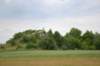 dsc_0288_small.jpg