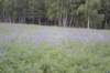 dsc_0358_small.jpg