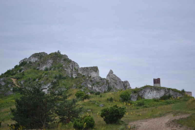 dsc_0364.jpg