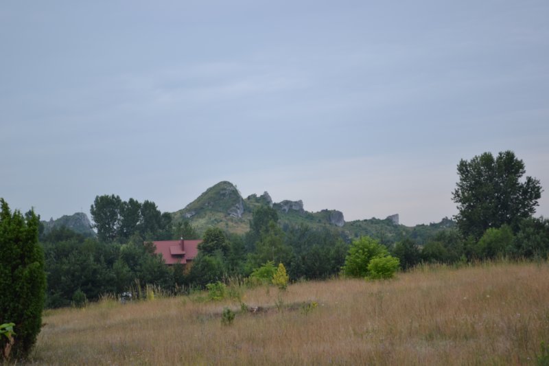 dsc_0369.jpg