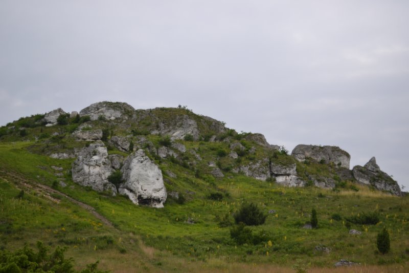 dsc_0370.jpg
