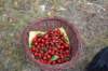 dsc_0403_small.jpg