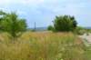 dsc_0481_small.jpg