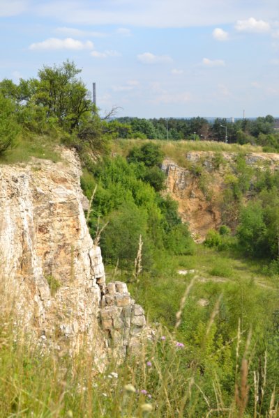 dsc_0485.jpg