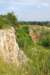 dsc_0485_small.jpg