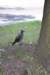dsc_0549_small.jpg