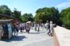 dsc_0578_small.jpg