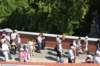dsc_0611_small.jpg