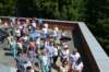dsc_0617_small.jpg
