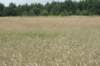 dsc03348_small.jpg