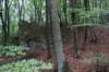 dsc03354_small.jpg
