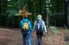 dsc03381_small.jpg