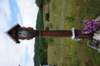 dsc03397_small.jpg