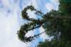 dsc03411_small.jpg