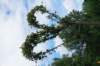 dsc03412_small.jpg