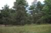 dsc03414_small.jpg