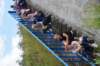 dsc03427_small.jpg