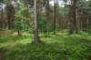 dsc03430_small.jpg