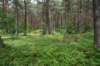 dsc03431_small.jpg
