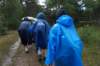 dsc03443_small.jpg