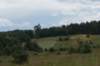 dsc03450_small.jpg