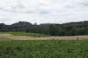 dsc03451_small.jpg