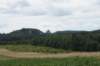 dsc03453_small.jpg