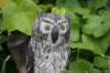 dsc03504_small.jpg