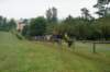 dsc03515_small.jpg
