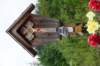 dsc03550_small.jpg