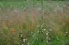 dsc03557_small.jpg