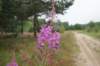 dsc03563_small.jpg