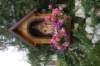dsc03607_small.jpg