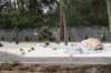 dsc03619_small.jpg
